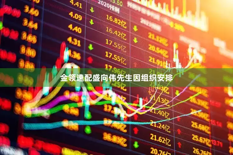金领速配盛向伟先生因组织安排