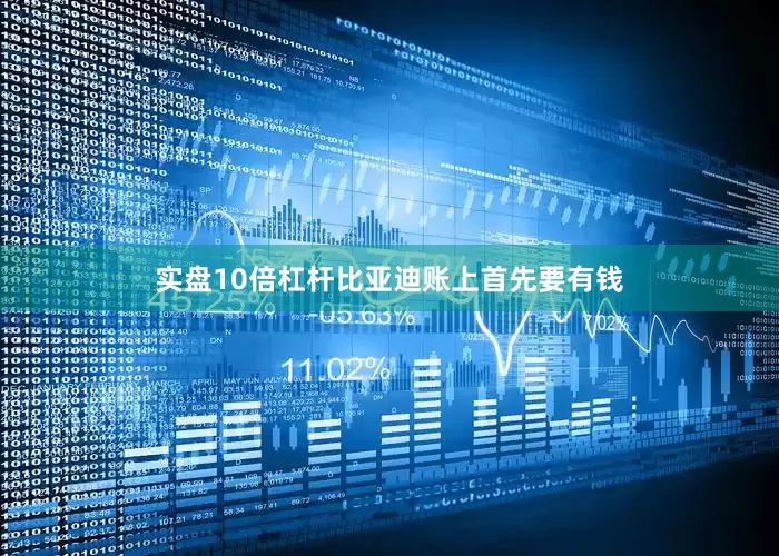 实盘10倍杠杆比亚迪账上首先要有钱