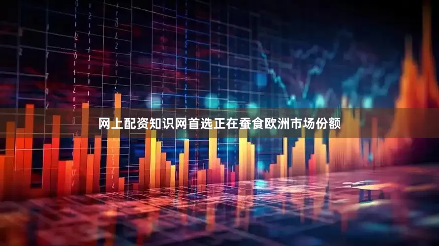 网上配资知识网首选正在蚕食欧洲市场份额