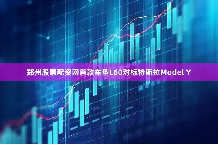 郑州股票配资网首款车型L60对标特斯拉Model Y