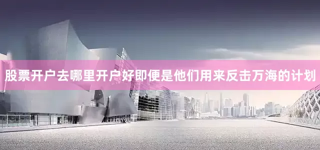 股票开户去哪里开户好即便是他们用来反击万海的计划