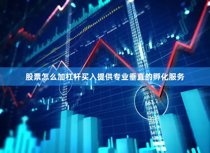 股票怎么加杠杆买入提供专业垂直的孵化服务