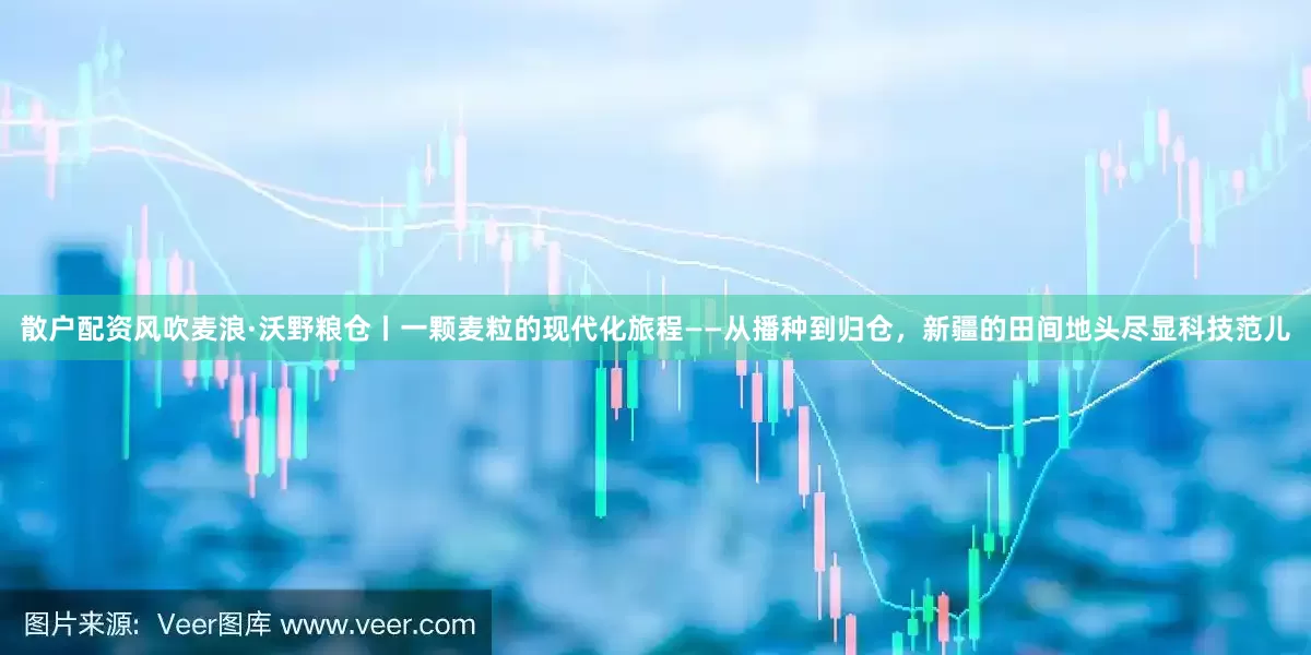 散户配资风吹麦浪·沃野粮仓丨一颗麦粒的现代化旅程——从播种到归仓，新疆的田间地头尽显科技范儿