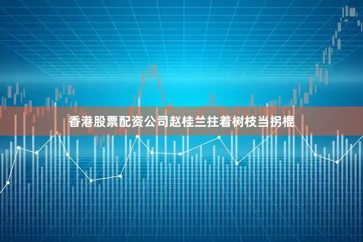 香港股票配资公司赵桂兰拄着树枝当拐棍